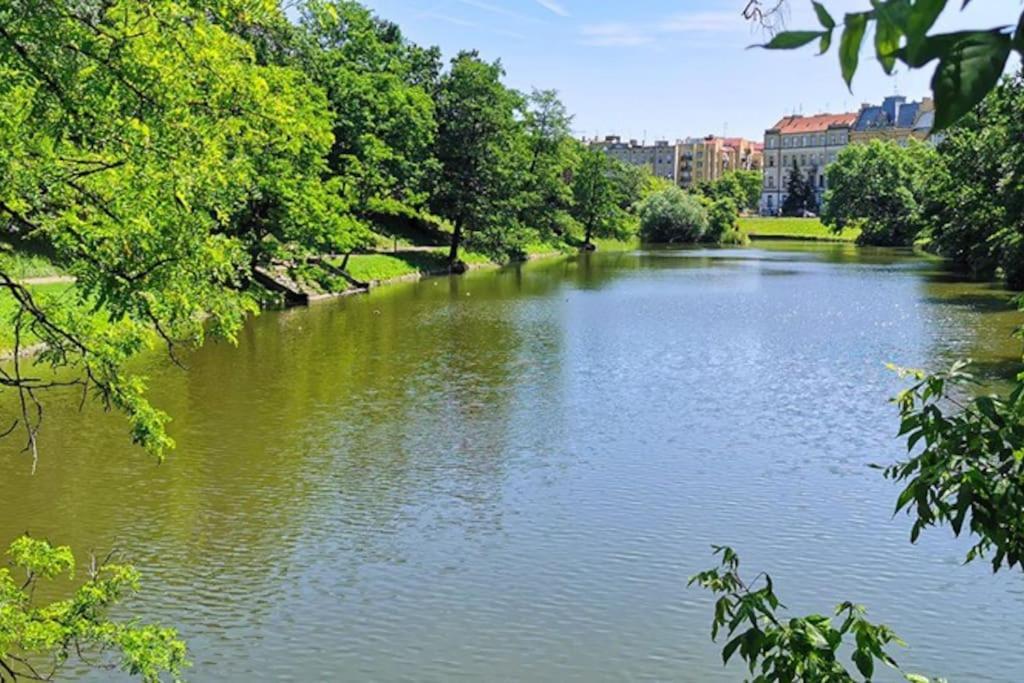 Parkowy Apartament *