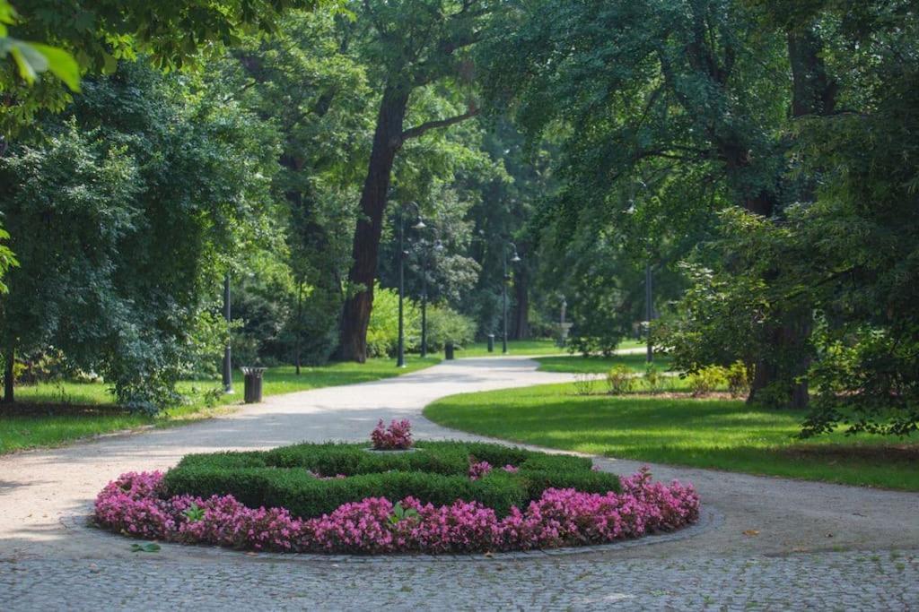 Parkowy Apartament * Breslavia